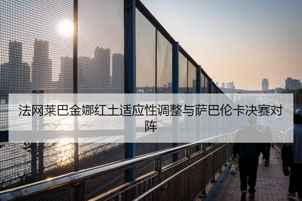 fa-wang-lai-ba-jin-na-hong-tu-shi-ying-xing-tiao-zheng-yu-sa-ba-lun-ka-jue-sai-dui-zhen-2-245.jpg
