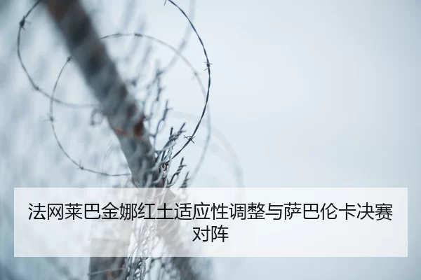 fa-wang-lai-ba-jin-na-hong-tu-shi-ying-xing-tiao-zheng-yu-sa-ba-lun-ka-jue-sai-dui-zhen-3-589.jpg